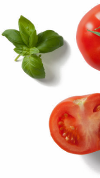 Tomato
